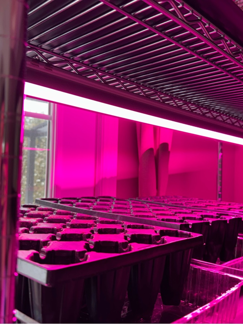 NEW - LED lights 4 feet long bright pink for seedling seed grow garden